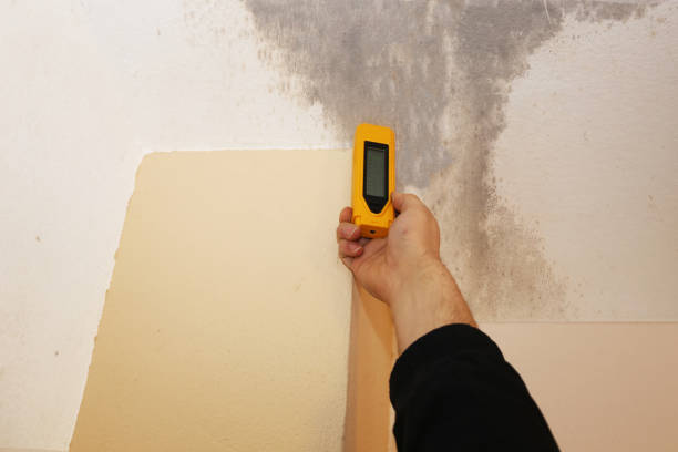 Best Commercial Mold Inspection  in White Meadow Lake, NJ