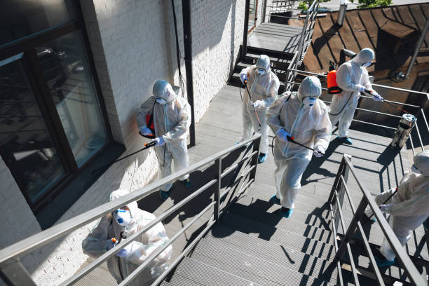 Best HVAC Mold Inspection and Cleaning  in White Meadow Lake, NJ