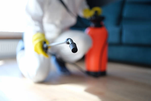 Mold Documentation for Insurance Claims in White Meadow Lake, NJ