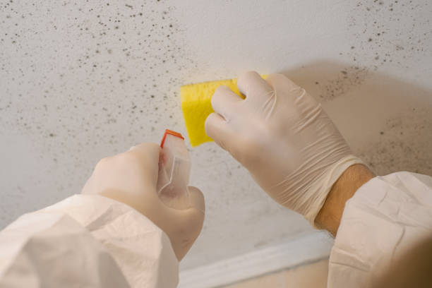 Best Airborne Mold Testing  in White Meadow Lake, NJ