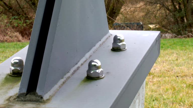 Trusted White Meadow Lake, NJ Mold Removal Experts
